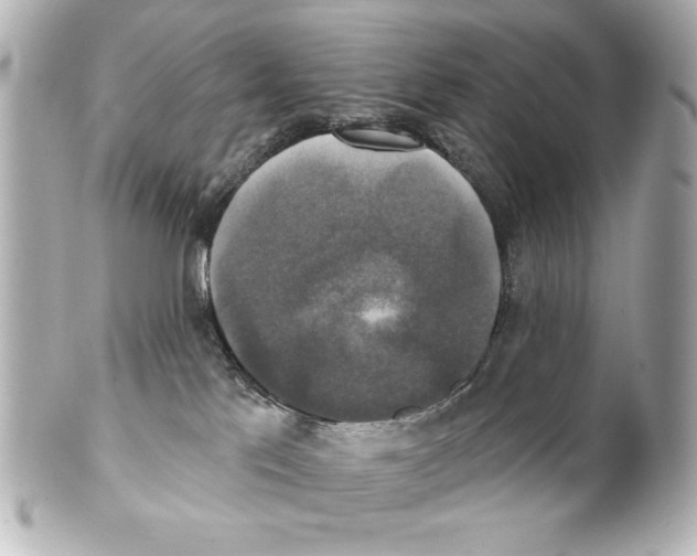 X0000101450041200808041029