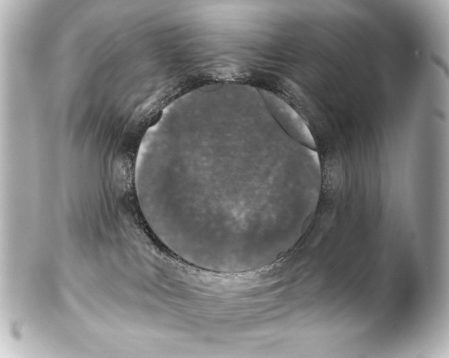 X0000101450043200808041029