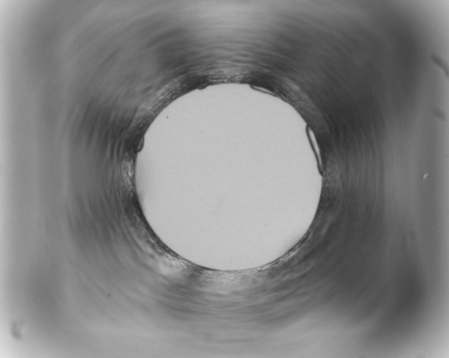 X0000101450045200808041029