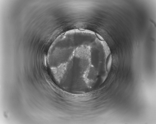 X0000101450046200808041028