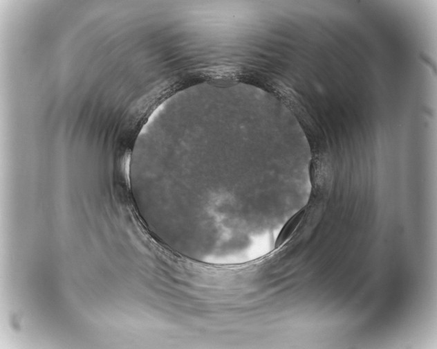 X0000101450047200808041028