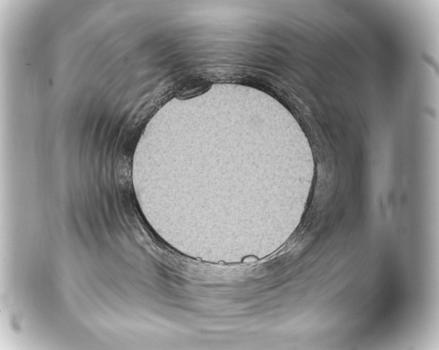 X0000101450048200808041028