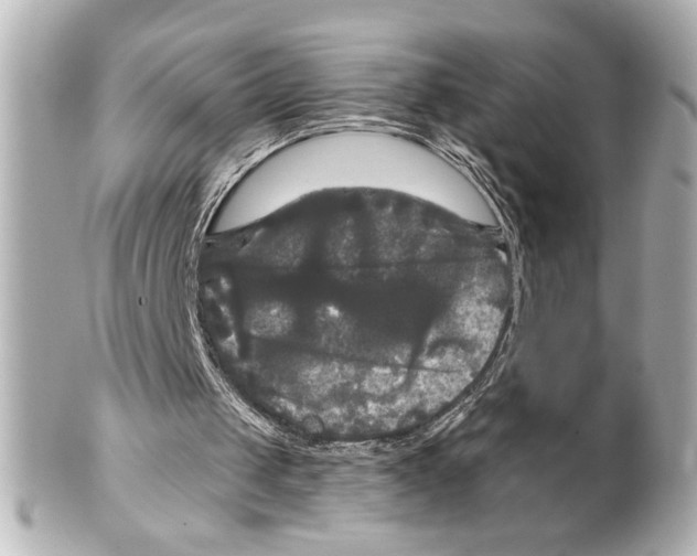 X0000101450049200808041028