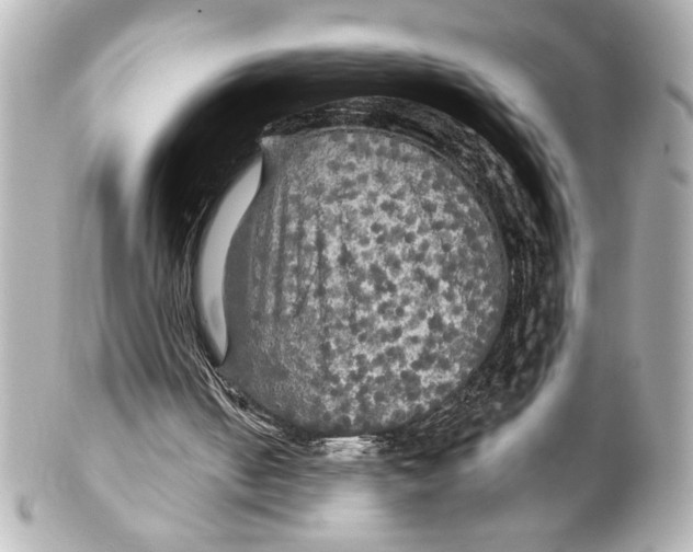 X0000101450050200808041028