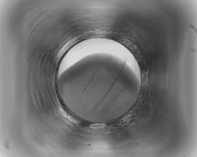 X0000101450051200808041028