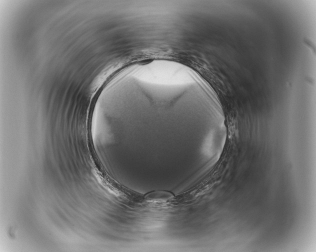 X0000101450052200808041028