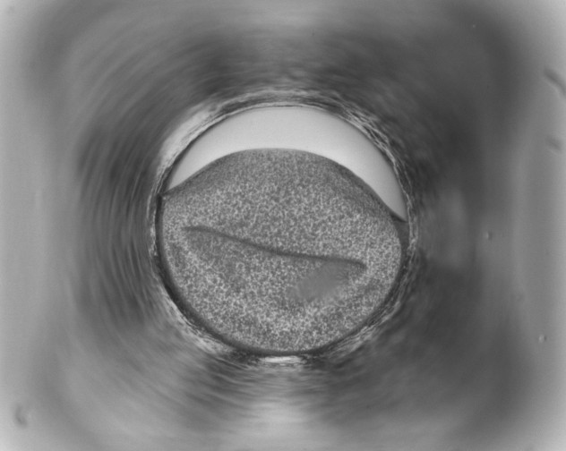 X0000101450053200808041028