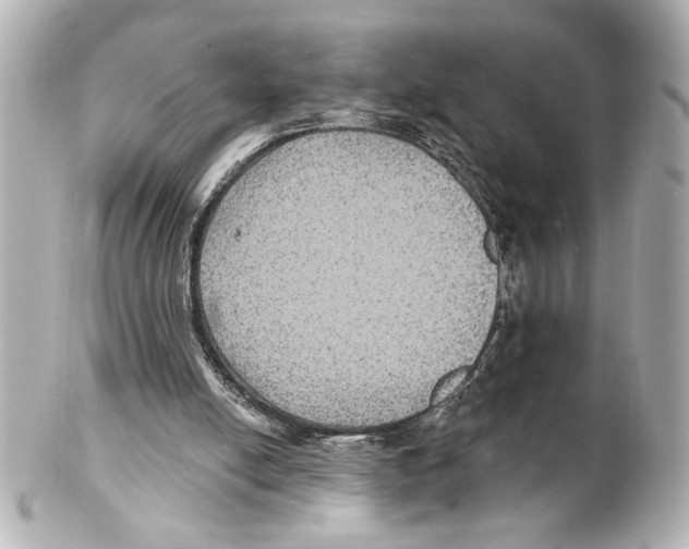 X0000101450054200808041028