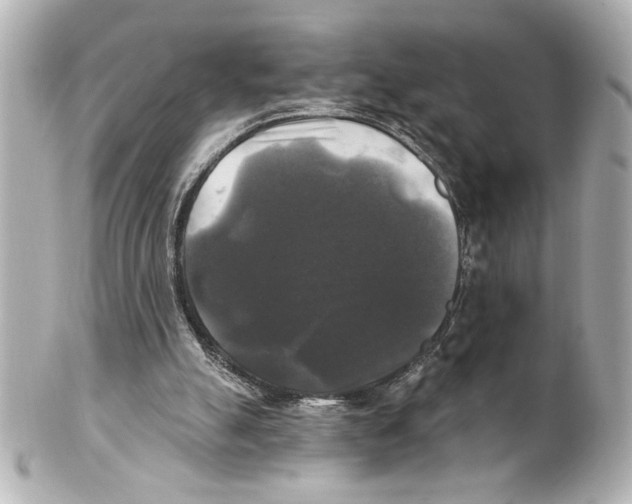 X0000101450055200808041028