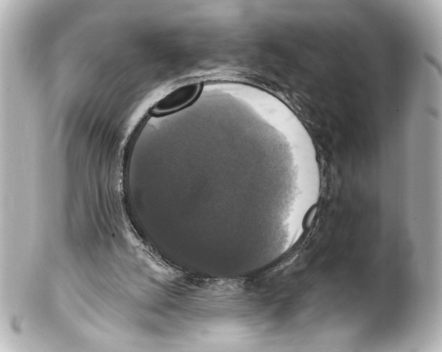 X0000101450056200808041028