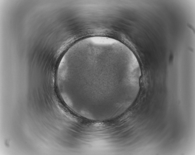 X0000101450059200808041028