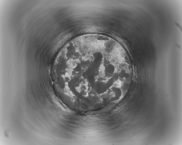 X0000101450061200808041028