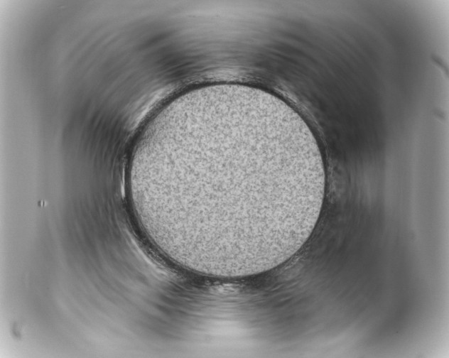 X0000101450062200808041028