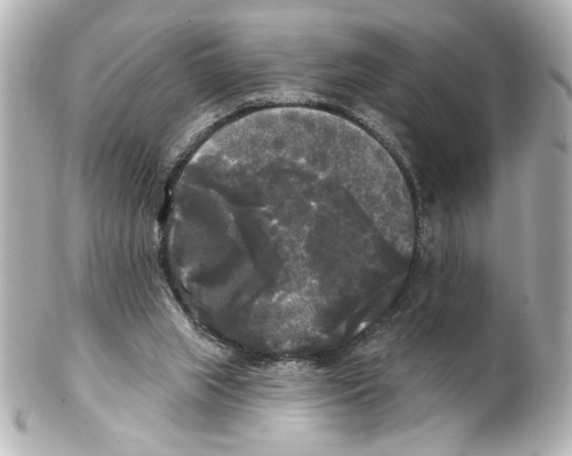 X0000101450063200808041028