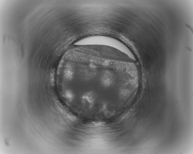 X0000101450065200808041028