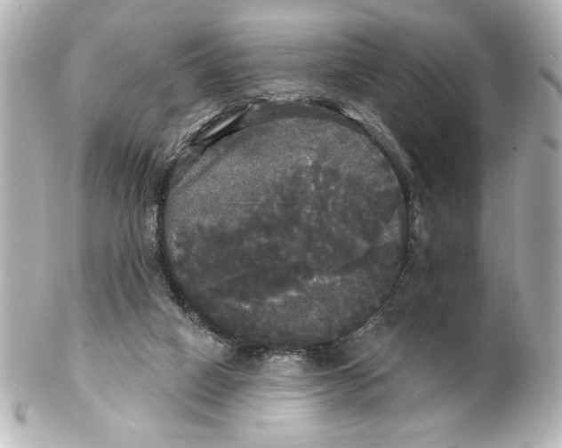 X0000101450066200808041028