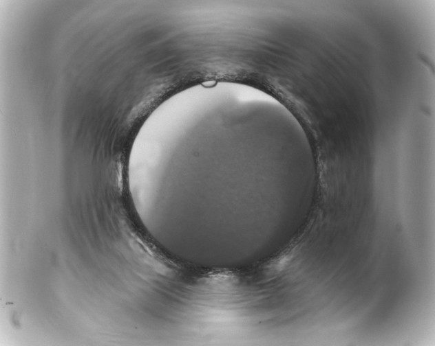 X0000101450067200808041028