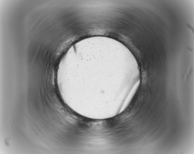 X0000101450068200808041028