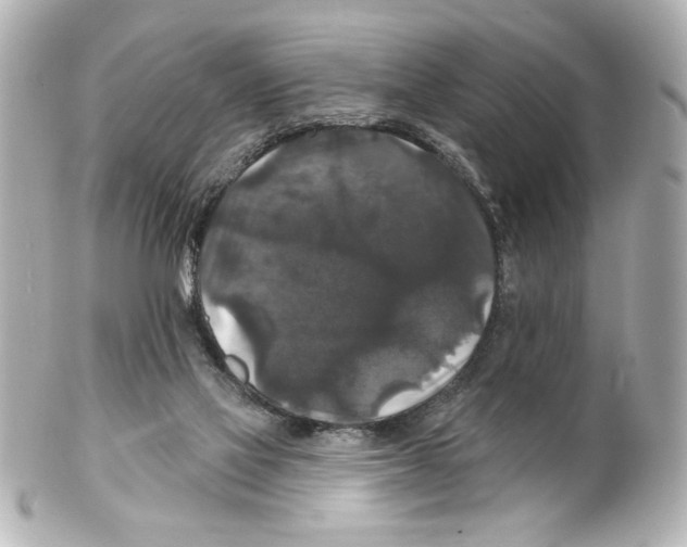 X0000101450069200808041028