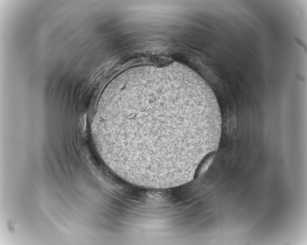 X0000101450070200808041028