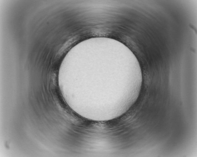 X0000101450071200808041028