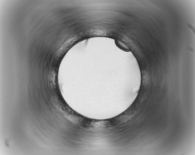 X0000101450072200808041028