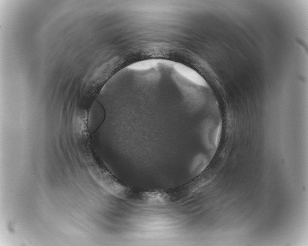 X0000101450073200808041028