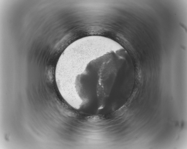 X0000101450074200808041028