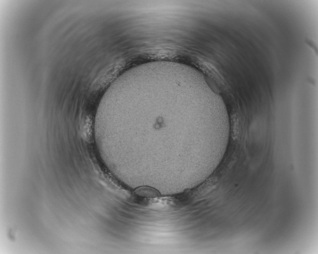 X0000101450077200808041028