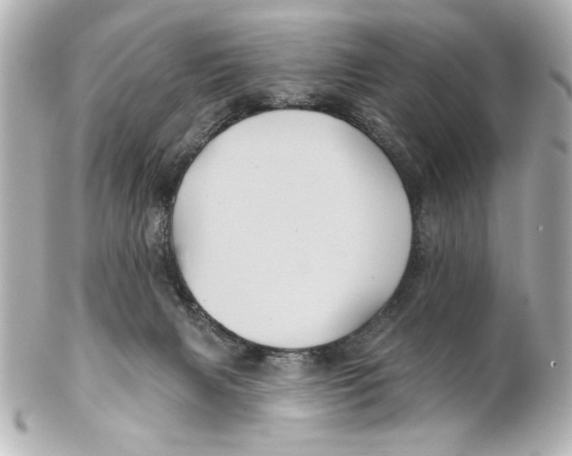 X0000101450079200808041028