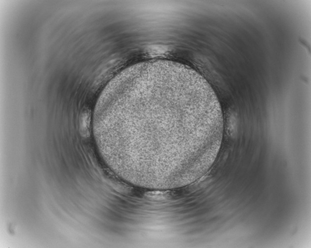 X0000101450082200808041028