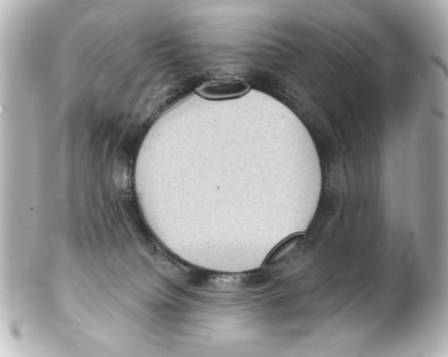 X0000101450084200808041028