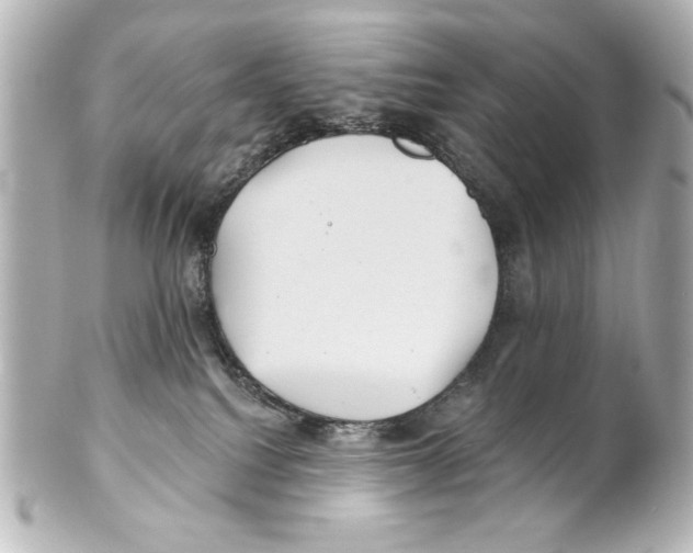 X0000101450088200808041028