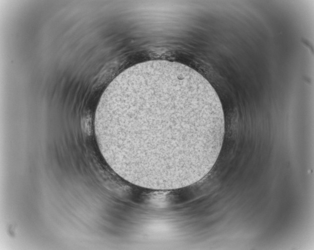 X0000101450090200808041028