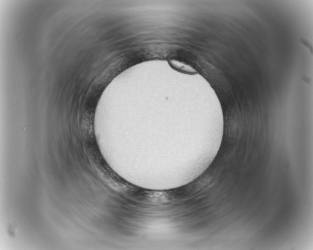 X0000101450091200808041028