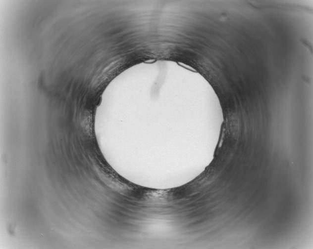 X0000101450092200808041028