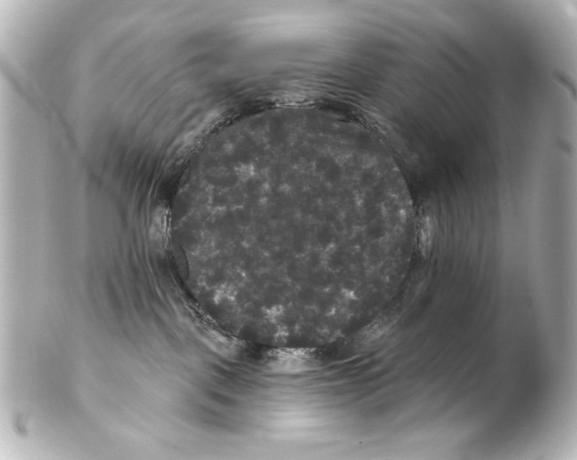 X0000101450093200808041028