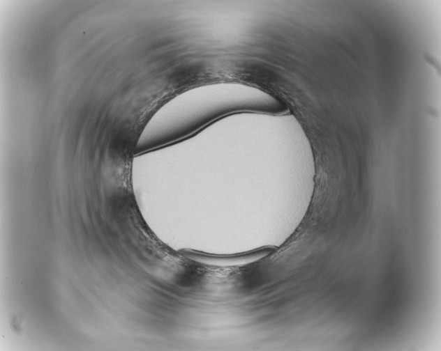 X0000101450096200808041028