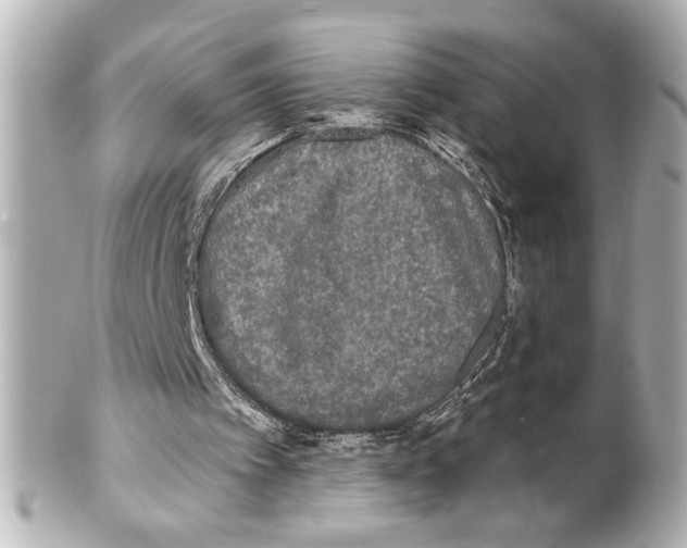 X0000101450097200808041028