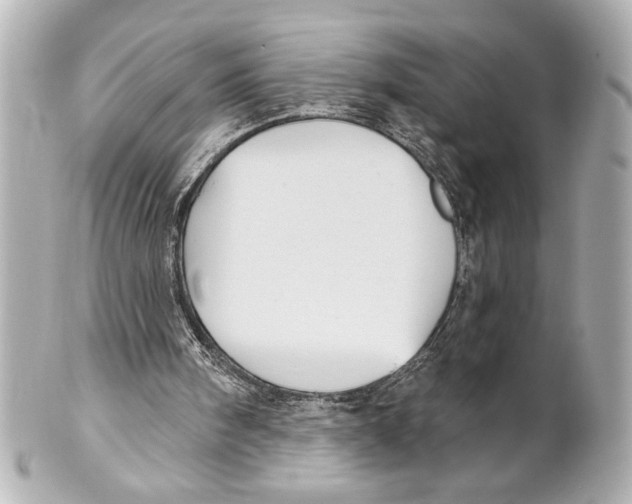 X0000101450098200808041028