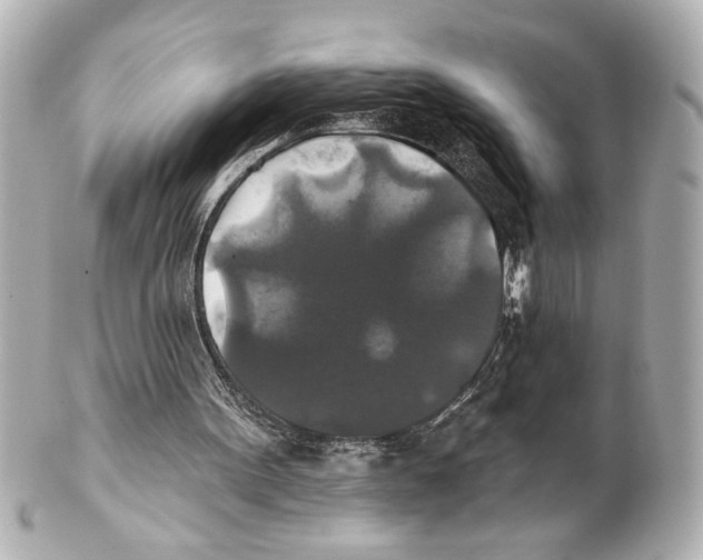 X0000101450099200808041028