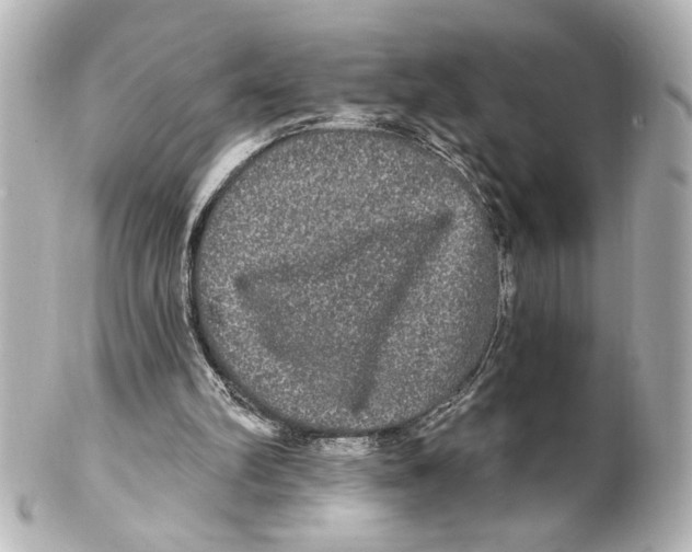 X0000101450102200808041028