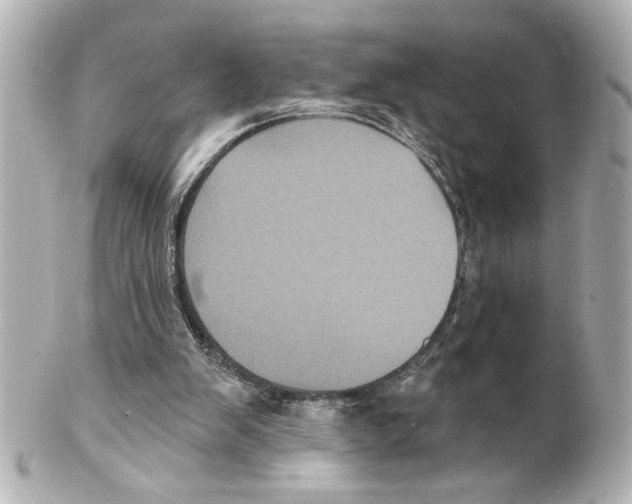 X0000101450103200808041028