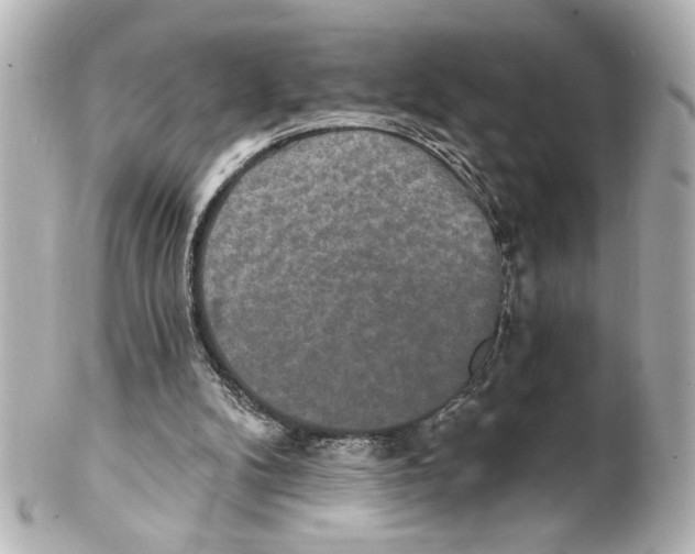 X0000101450104200808041028