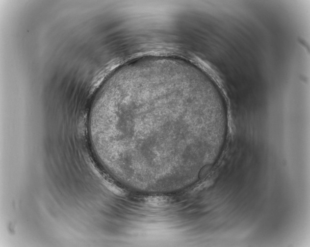 X0000101450105200808041028