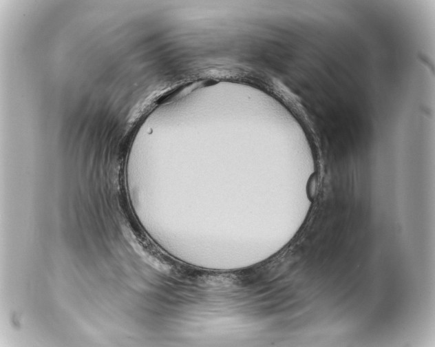 X0000101450106200808041028