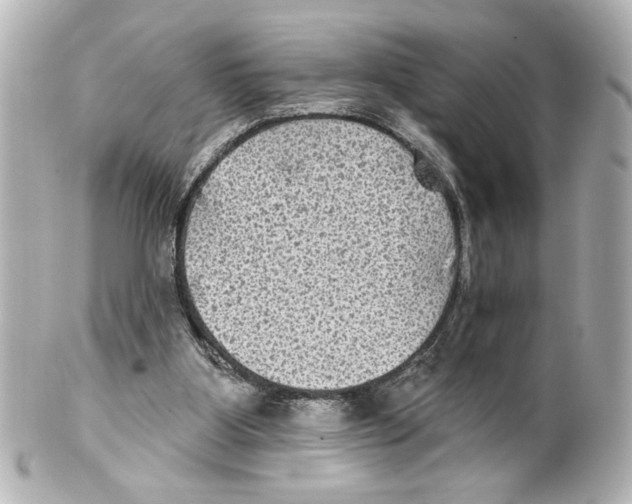 X0000101450107200808041028