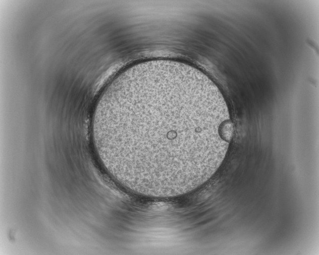 X0000101450111200808041028