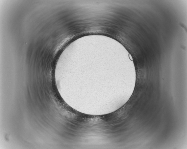 X0000101450112200808041028