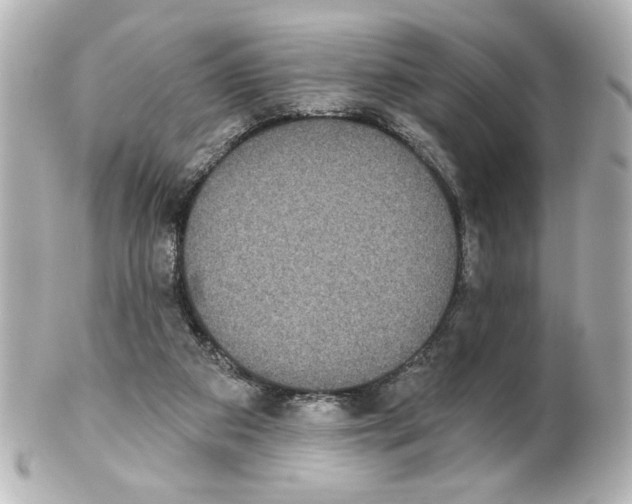 X0000101450113200808041028